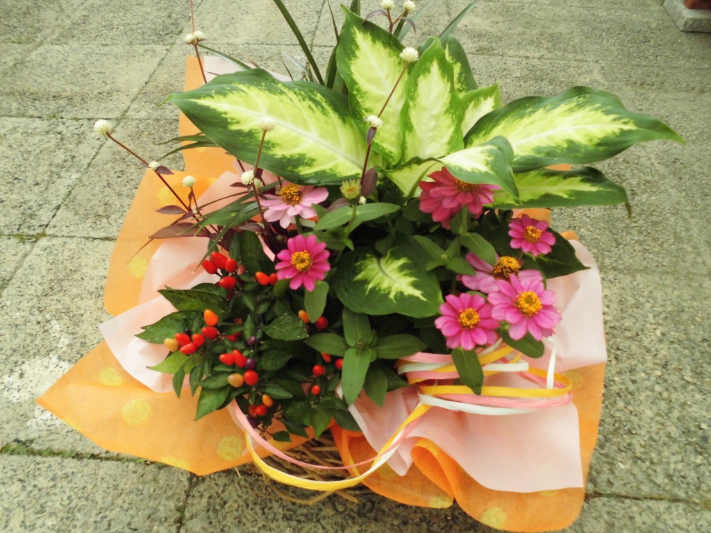 かごもりプレゼント、飯田市で素敵なお庭をつくるなら、オシャレな鉢、可愛い雑貨