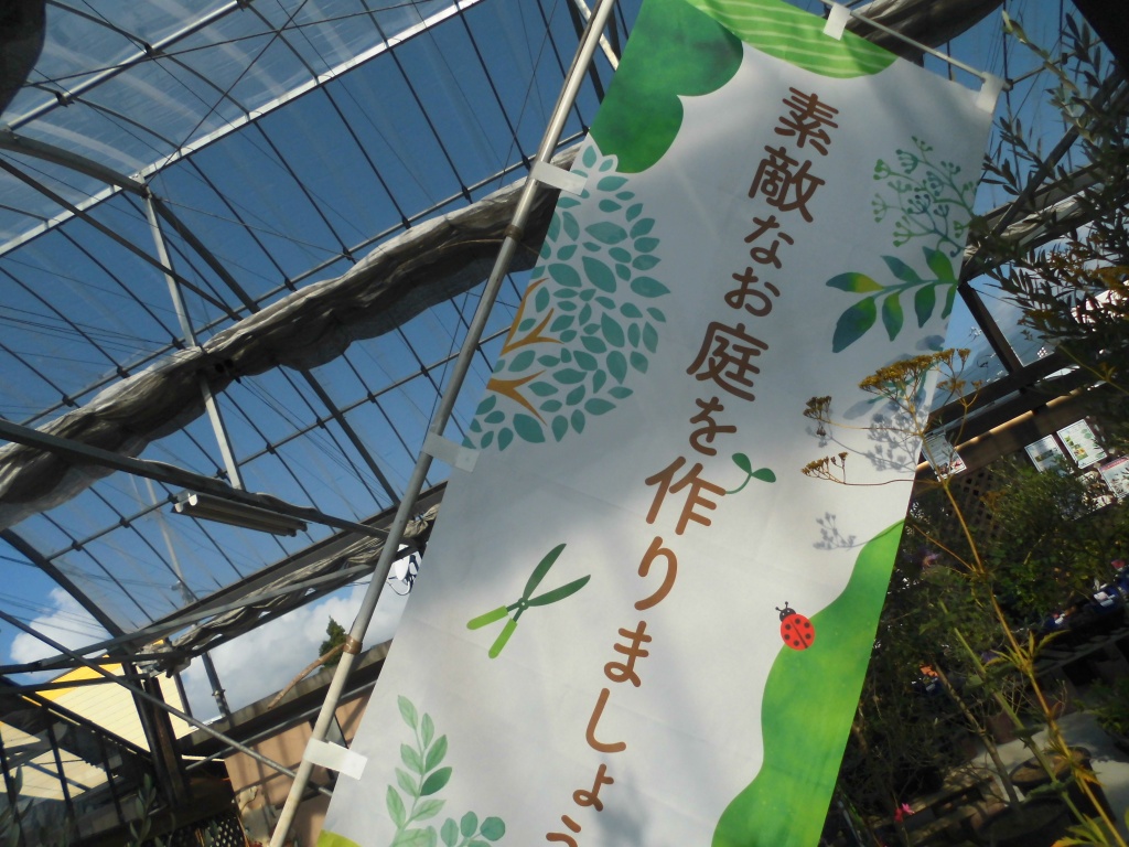 飯田市庭作りおススメの植物