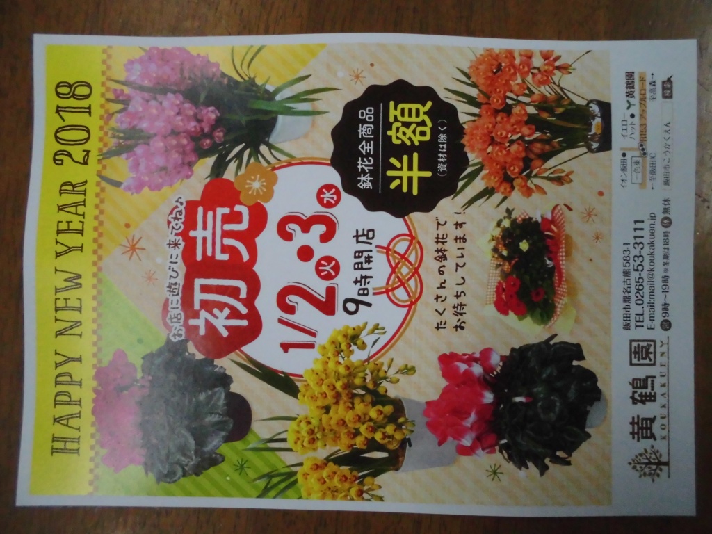 あけましておめでとうございます、２０１８年初売りです鉢花全商品半額とさせていただきます、飯田市
