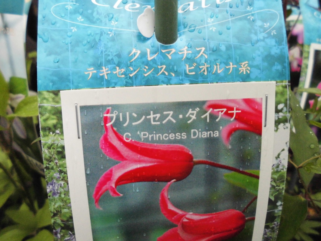 飯田市庭作りおススメの植物を取り扱うお店黄鶴園