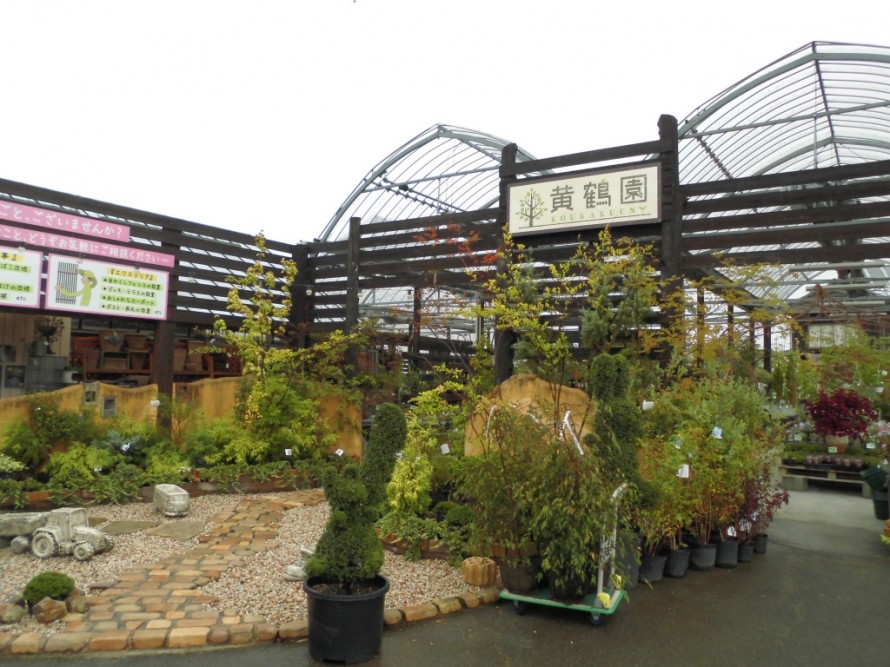 飯田市庭作りおススメの植物を取り扱うお店黄鶴園