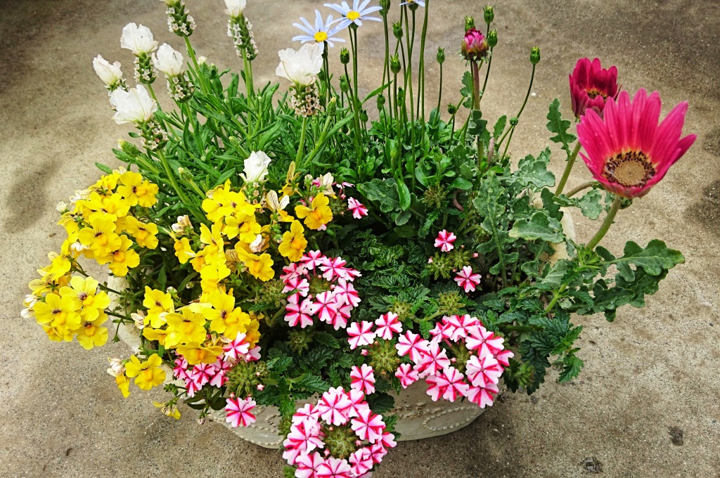 飯田市でお庭の事なら何でもお気軽にご相談。お花