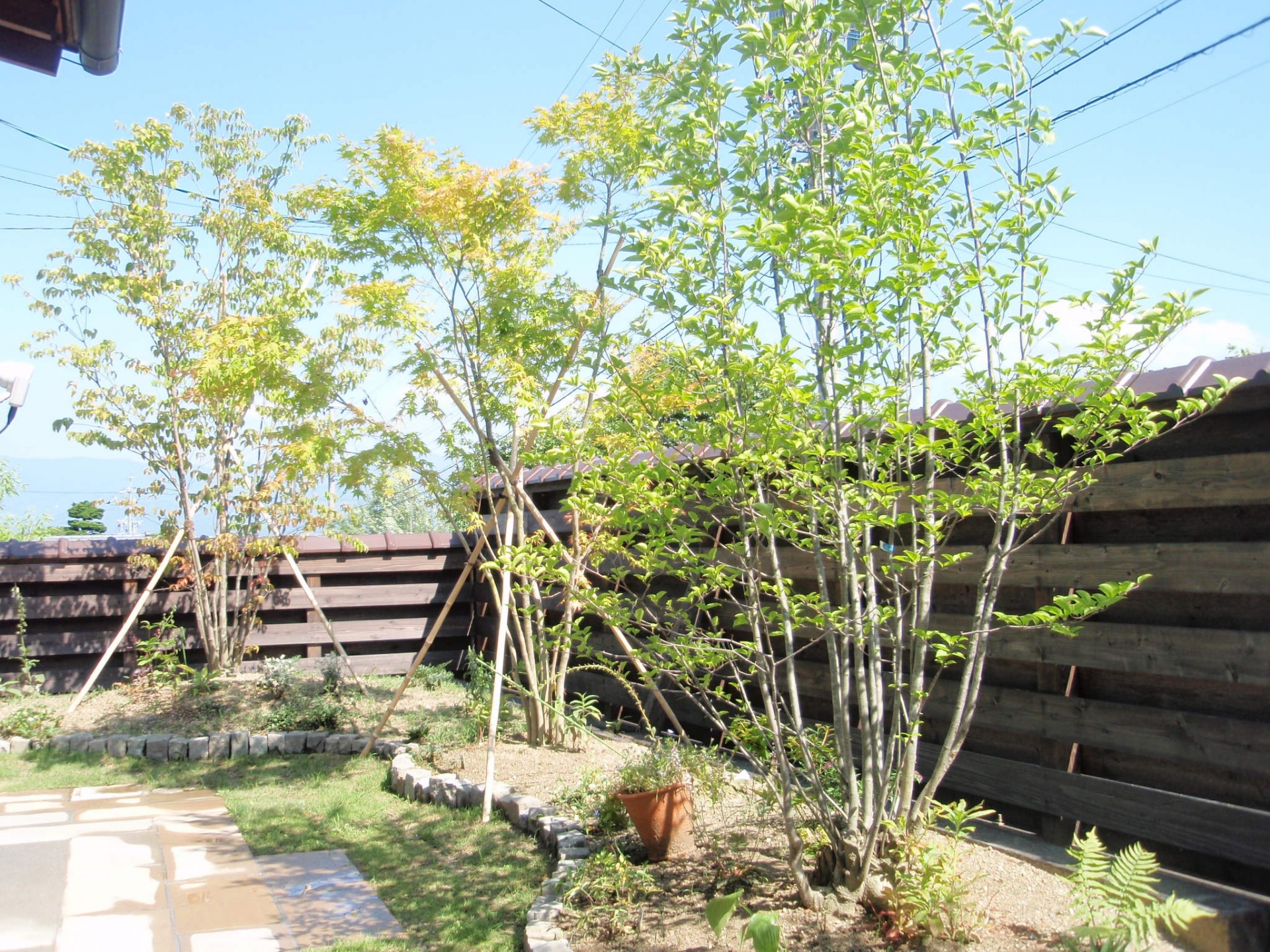 雑木林風の草が生えにくい庭つくり/飯田市